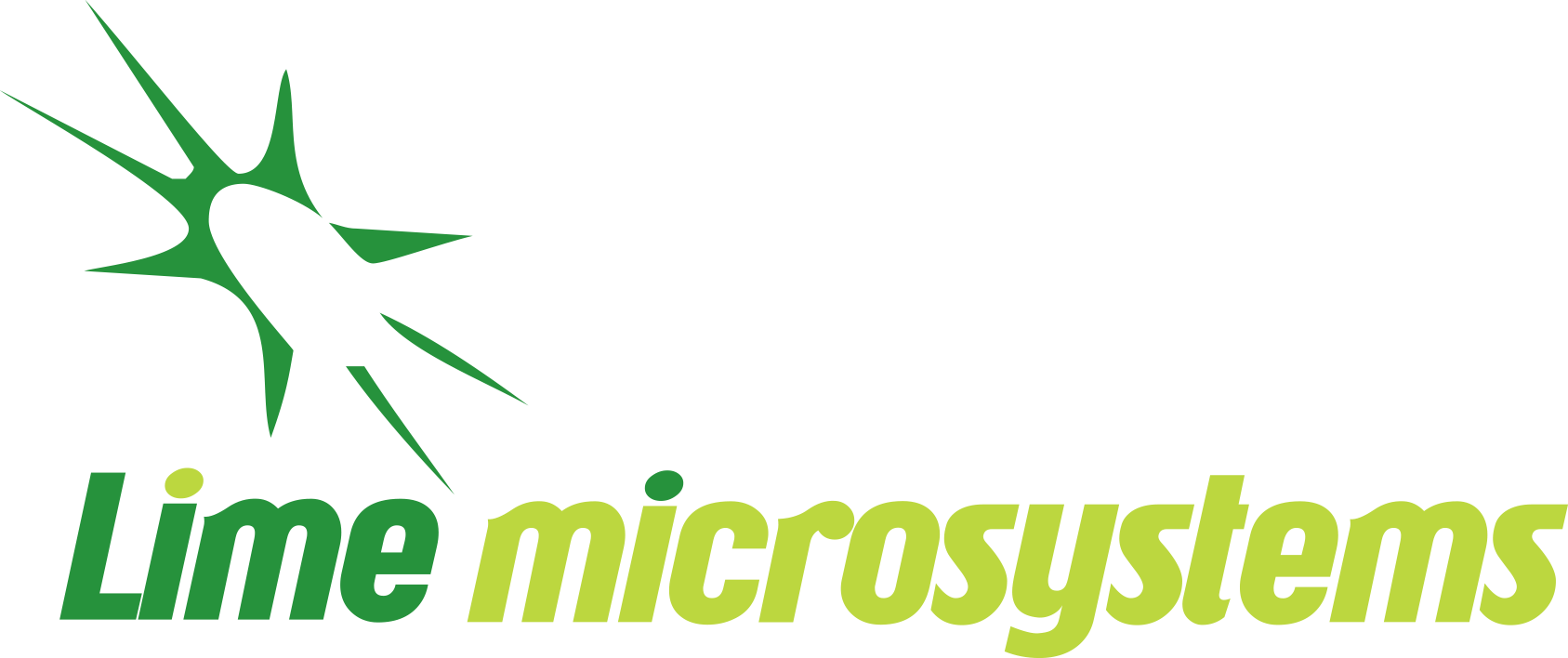 Lime Microsystems Ltd LOGO