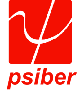 Psiber Data Systems, Inc. LOGO